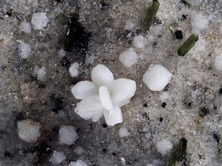 Cristobalite Pyroxène - Ravin des Chomets - Mont-Dore - Puy de Dôme