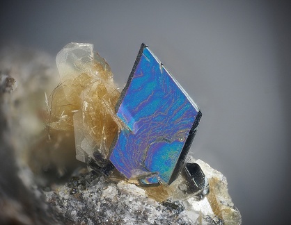 Hématite Fluorophlogopite - Puy de Tunisset - Saint-Ours - Puy de Dôme