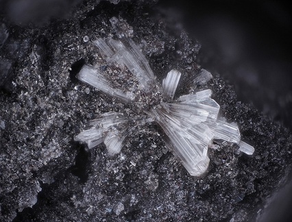 Microsommite - Puy de Tunisset - Saint-Ours - Puy de Dôme