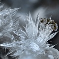 Strontianite Pyrite Calcite - Urrugne - Pyrénées Atlantiques 