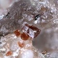 Roedderite - Puy de Vivanson - Perpezat - Puy de Dôme