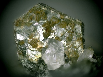 Clinochlore Quartz - Luz St Sauveur -  Hautes-Pyrénées 