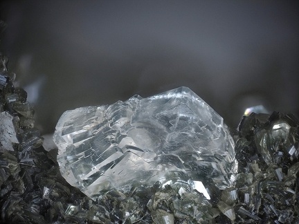 Prehnite Clinochlore - Luz St Sauveur -  Hautes-Pyrénées  