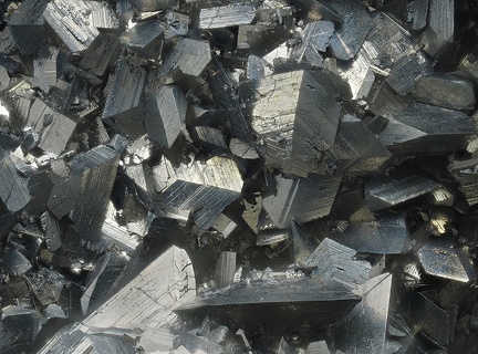 Marcasite - Bois de la Roche - Saint-Aubin-des-châteaux -  Loire-Atlantique