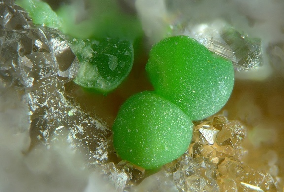 Conichalcite - Le Bastit - Najac - Aveyron