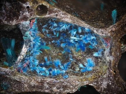 Connellite (scories) - Chessy-les-Mines - Rhône 