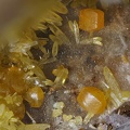 Wulfénite Mimétite - Lantignié - Rhône 