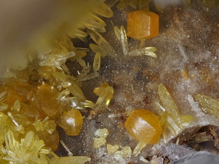 Wulfénite Mimétite - Lantignié - Rhône 