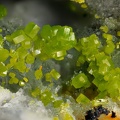 Pyromorphite Wulfénite - Vernay - Rhône 
