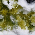 Epidote Prehnite - Bras de Cilaos - Cilaos - La Réunion 