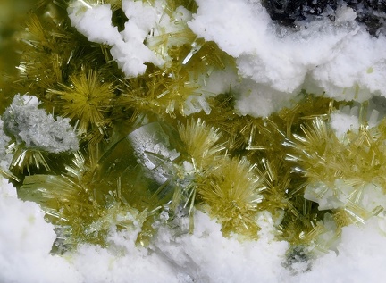 Epidote Prehnite - Bras de Cilaos - Cilaos - La Réunion 