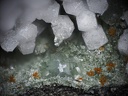 Prehnite Analcime Pumpellyite - Anciens Thermes - Cilaos- La Réunion 