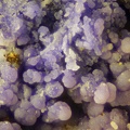 Strengite - Collioure - Massif des Albères - Pyrénées-Orientales