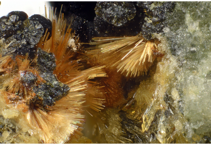 Eleonorite Stewartite - Collioure - Massif des Albères - Pyrénées-Orientales