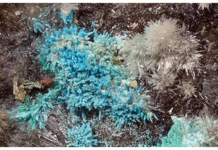 Langite Aragonite - Saint-Pons - Alpes-de-Haute-Provence