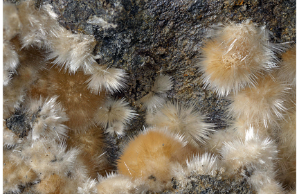 Aragonite - Saint-Pons - Alpes-de-Haute-Provence