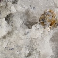 n°173096 - Brookite Anatase - La Grande Ecaille - Bourg St Maurice - Savoie