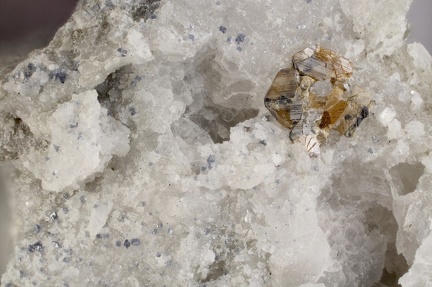 n°173096 - Brookite Anatase - La Grande Ecaille - Bourg St Maurice - Savoie
