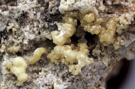 n°169258 - Mimetite -  Vernay (mine) - Vernay -  Rhône  