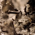 n° 163276 - Pyroxène(groupe)  Magnetite Titanite -  Roc de Cuzeau -  Le Mont Dore - Puy-de-Dôme