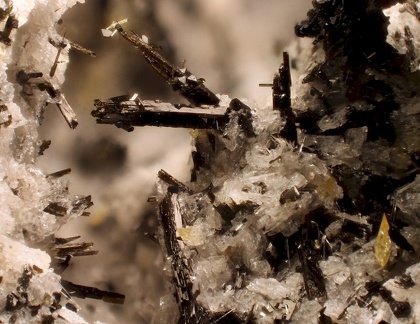 n° 163276 - Pyroxène(groupe)  Magnetite Titanite -  Roc de Cuzeau -  Le Mont Dore - Puy-de-Dôme