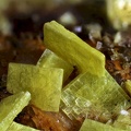 Autunite -  Margnac - Compreignac - Haute-Vienne