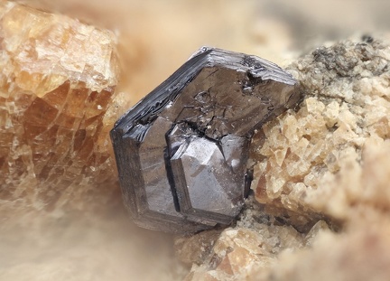 Molybdenite - Costabonne - Prats-de-Mollo-la-Preste -  Pyrénées-Orientales