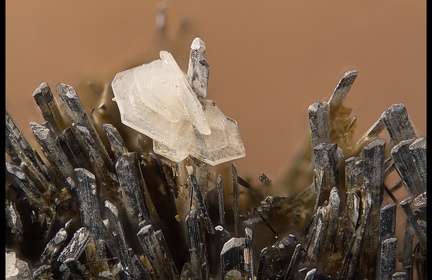 Stibine Baryte - Mine de La Forge - Anzat Le Luguet - Puy-de-Dôme