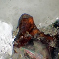 Sphalerite - La Bessade  mine - Mercoeur - Haute-Loire 
