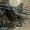 Stibine Sphalerite -  La Bessade  mine - Mercoeur - Haute-Loire 