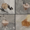 Wurtzite Stibine - Mine de La Forge - Anzat Le Luguet - Puy-de-Dôme