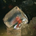 Fluorite - Carrière de Côte Rousse - Vensat - Puy de Dôme