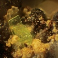 Autunite - Chaméane - Le Vernet - Puy-de-Dôme
