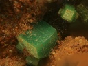 Torbernite - Chaméane - Le Vernet - Puy-de-Dôme
