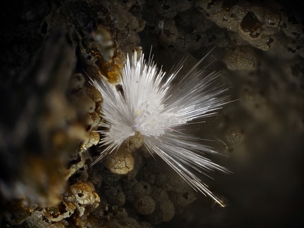 Aragonite - Carrière de Curebourse - Vic Sur Cère - Cantal