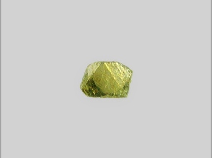 Xénotime - L' Auvézère - La Boissière-d'Ans - Dordogne - FP -Taille 0.2mm