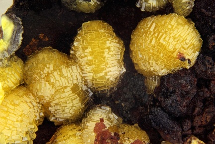 Mimetite - Bluttenberg - Ste Marie-aux-Mines - Haut-Rhin