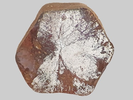 Saphir - La Gigeole - Nébouzat - Puy-de-Dôme - FP - Taille 2 mm