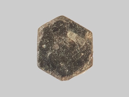 Biotite - Ruisseau de Boissac - Saint-Yvonne - Puy-de-Dôme - FP - Taille 2mm