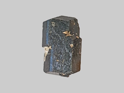Hornblende - Ruisseau de Boissac - Saint-Yvonne - Puy-de-Dôme - FP - Taille 2 mm