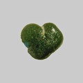 Glauconite - La Loire - Ouzouer-sur-Loire - Loiret - FP - Taille 0,4 mm