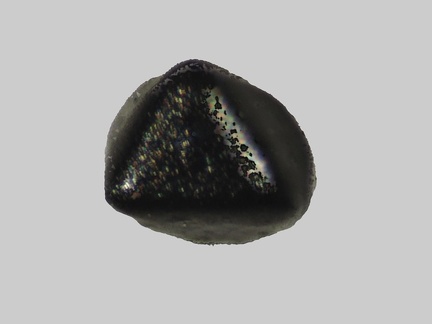 Magnetite - La Loire - Ouzouer-sur-Loire - Loiret - FP - Taille 0,2 mm