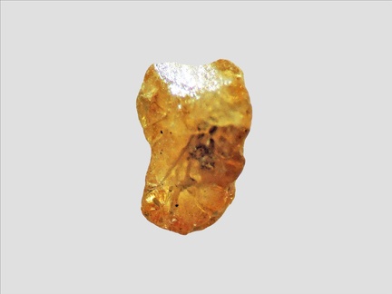 Titanite - La Loire - Neuvy-en-Sullias - Loiret - FP - Taille 1,5 mm