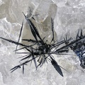 Acanthite - Mine St Nicolas - Steinbach - Haut-Rhin
