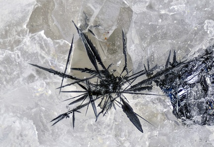 Acanthite - Mine St Nicolas - Steinbach - Haut-Rhin