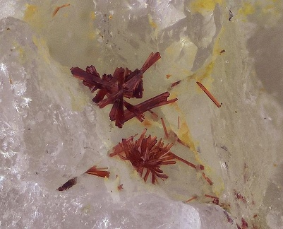 Carminite - Carrière du Plessis - Laz - Finistère