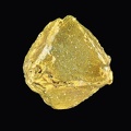 Or - Saül - Guyane - AM - cristal 1,6mm