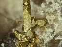 Pyrite - Les Gottes (Carrière) - St Julien Molin-Molette - Loire