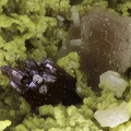  Raspite Stolzite - Les Montmins - Echassières - Allier