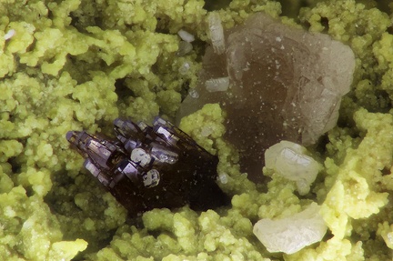  Raspite Stolzite - Les Montmins - Echassières - Allier